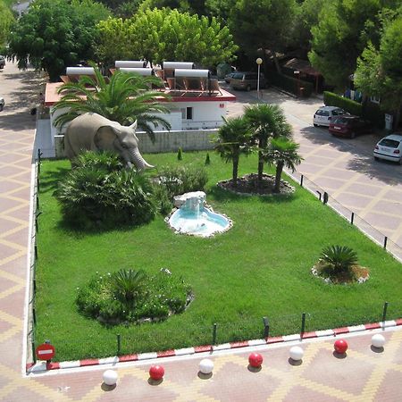 Camping L'Alqueria Gandía Eksteriør billede