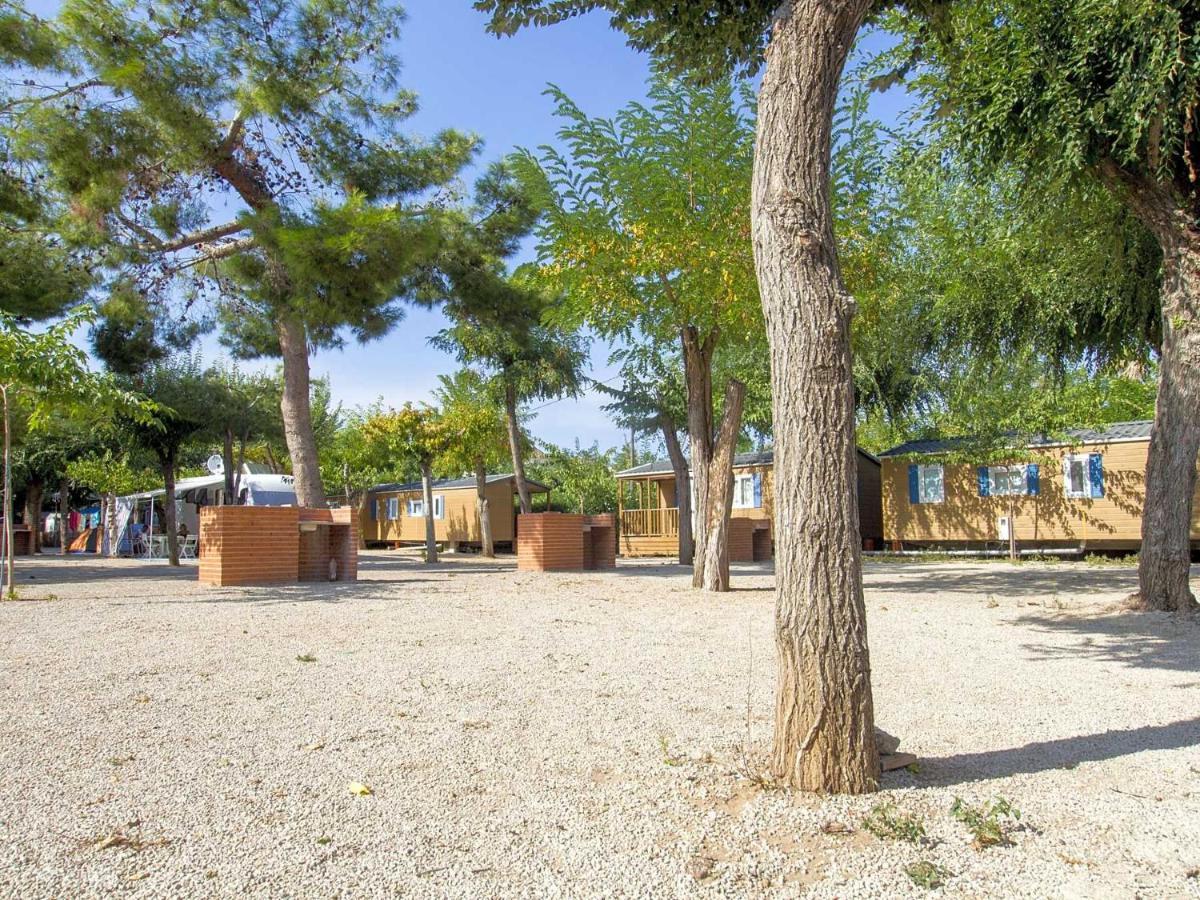 Camping L'Alqueria Gandía Eksteriør billede