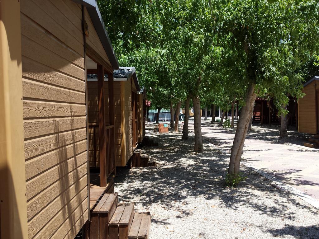 Camping L'Alqueria Gandía Eksteriør billede